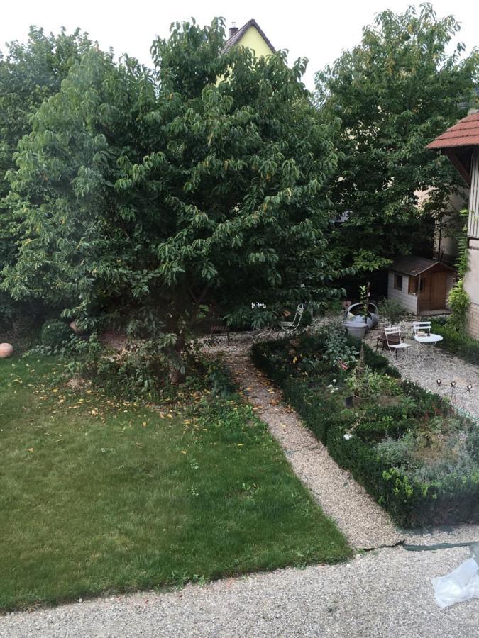 Bed and Breakfast Quetsche Et Mirabelle Ichtratzheim Экстерьер фото